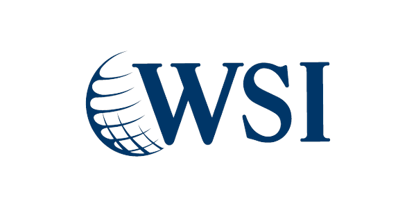 Logo WSI